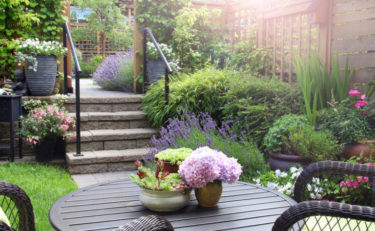 Ganzjährige Gartenpflege für einen schönen Garten