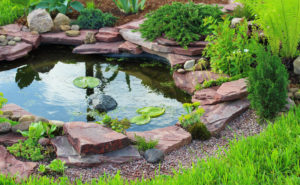 Kleiner Teich im Garten