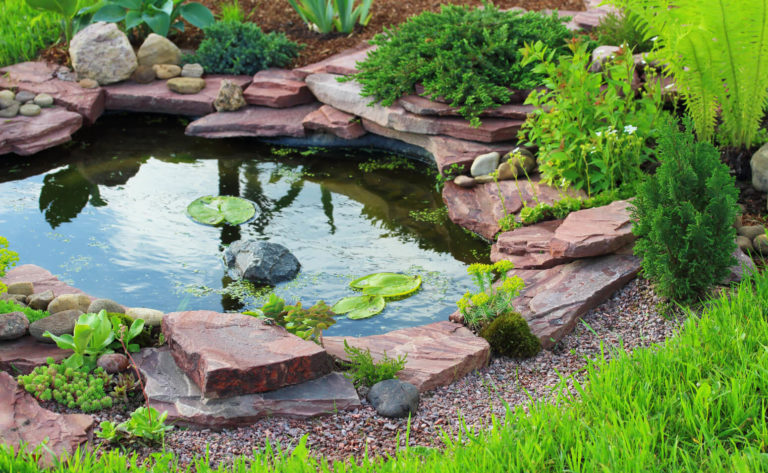 Kleiner Teich im Garten