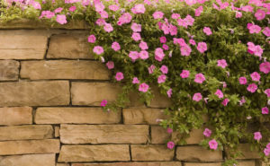 Mauer bauen und Garten Gestaltung