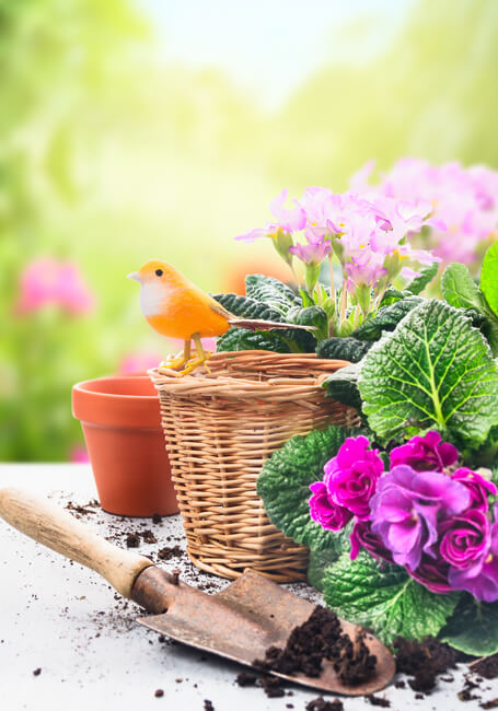 Professionelle Gartenberatung