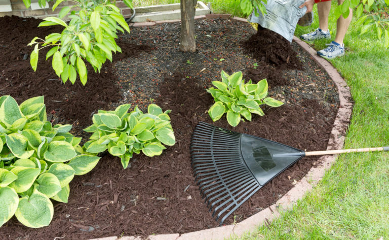 Professionelle Gartenpflege vom Fachmann