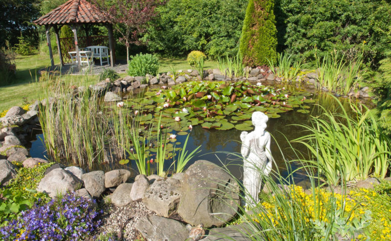 Teich mit Teichrosen und Natursteinen