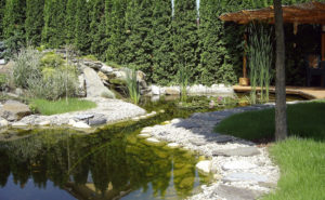 Wunderschöner Gartenteich an der Terrasse