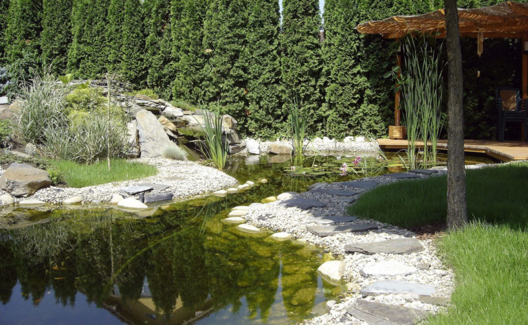Wunderschöner Gartenteich an der Terrasse